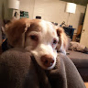 Meet your Posher, Leah